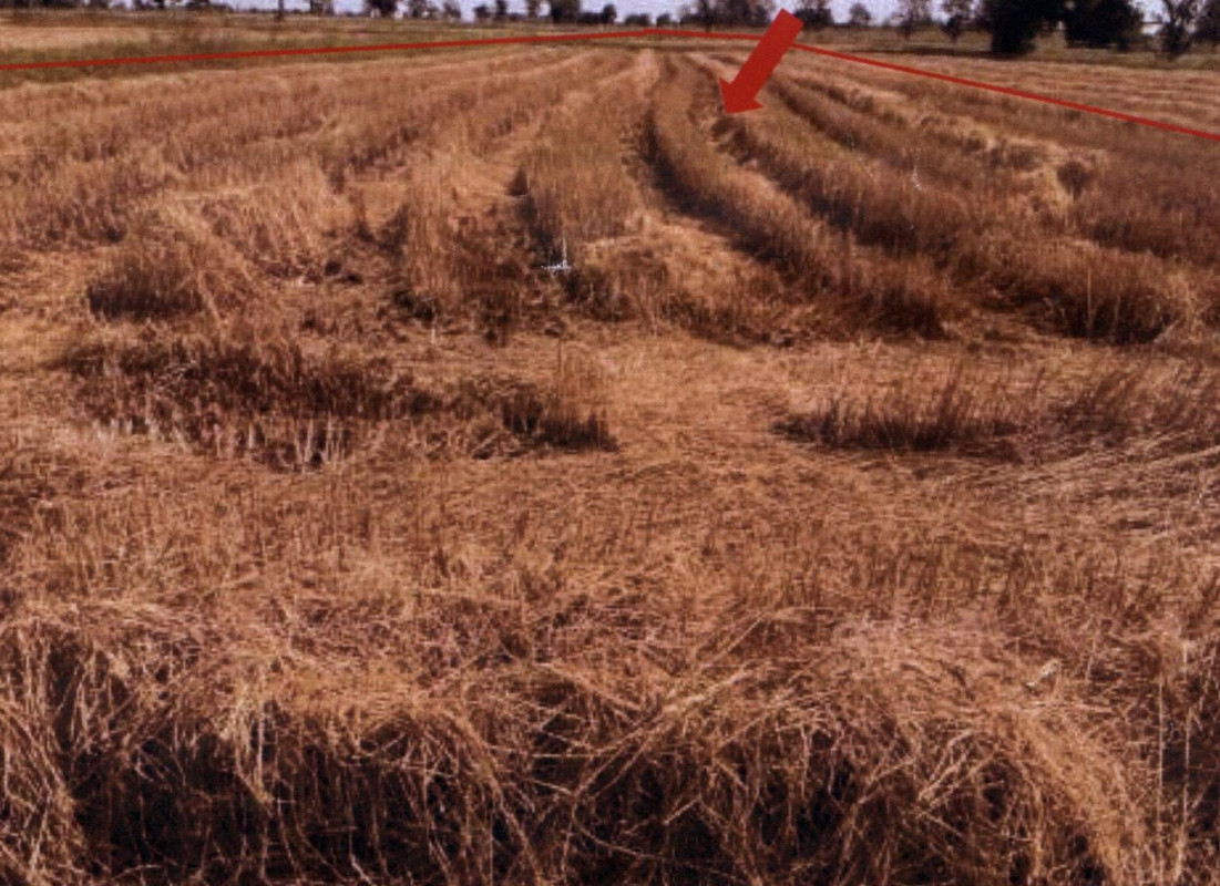 ที่ดินเปล่า สุรินทร์ ท่าตูม เมืองแก 120000