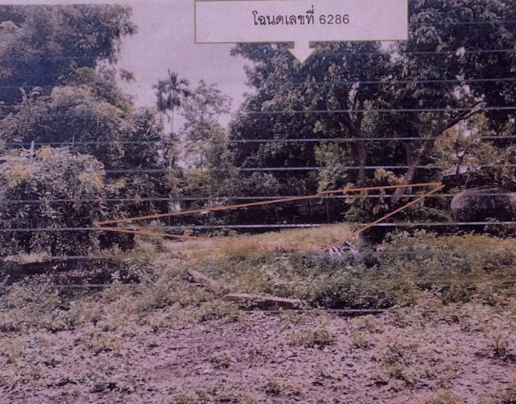 ที่ดินเปล่า สุรินทร์ สนม หัวงัว 9600