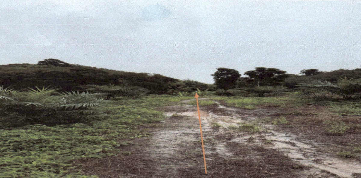 ที่ดินเปล่า กระบี่ เมืองกระบี่ ทับปริก 2701800