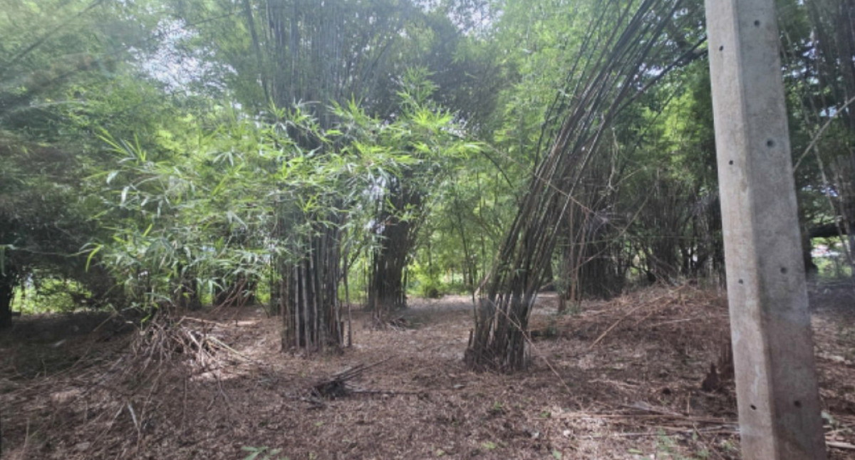 ที่ดินเปล่า ราชบุรี โพธาราม เขาชะงุ้ม 40000