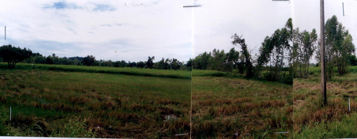 ที่ดินเปล่า หนองคาย เมืองหนองคาย วัดธาตุ 4385000