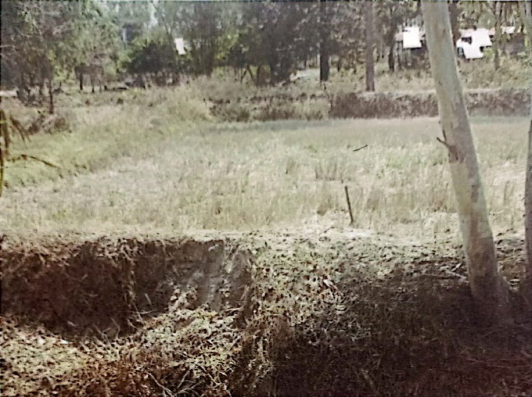 ที่ดินเปล่า กาฬสินธุ์ หนองกุงศรี หนองบัว 220800