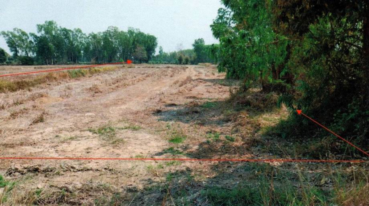 ที่ดินเปล่า ศรีสะเกษ ขุนหาญ สิ 161900