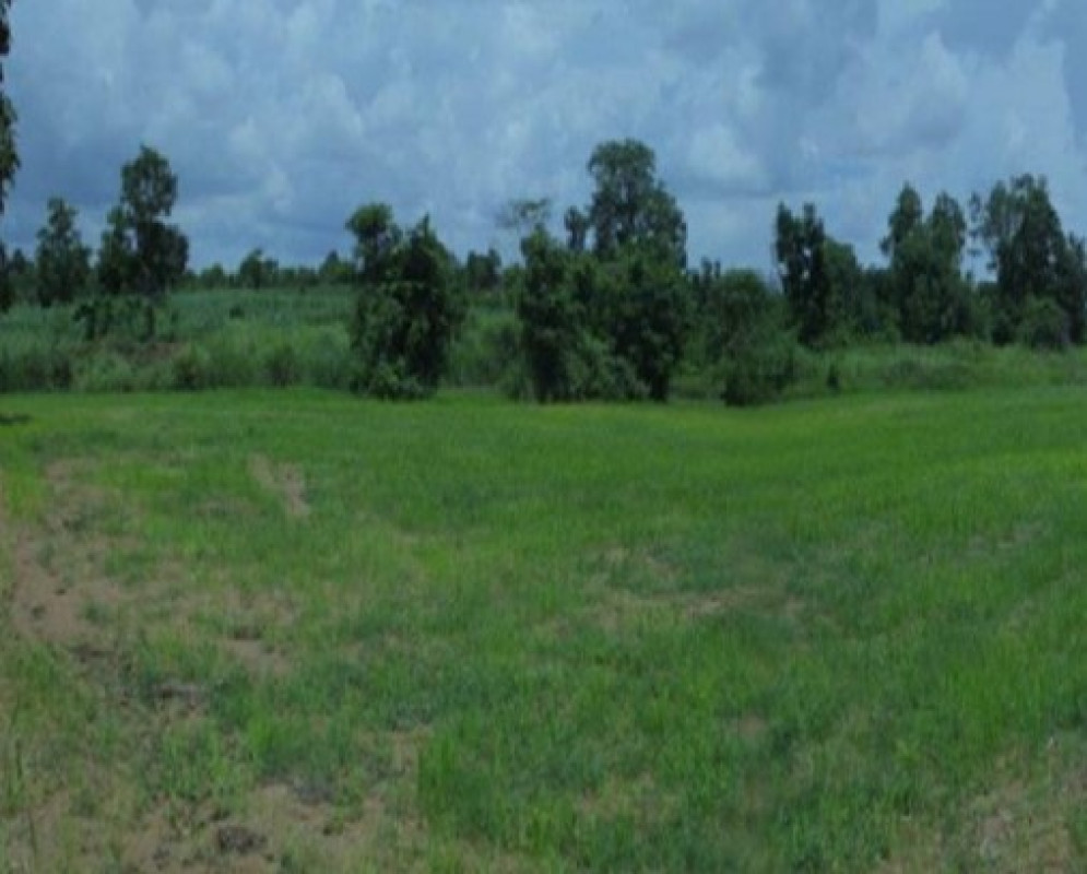 ที่ดินเปล่า มหาสารคาม โกสุมพิสัย แก้งแก 6757000