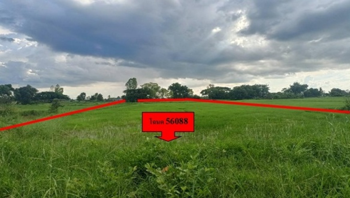 ที่ดินเปล่า มหาสารคาม โกสุมพิสัย โพนงาม 852400