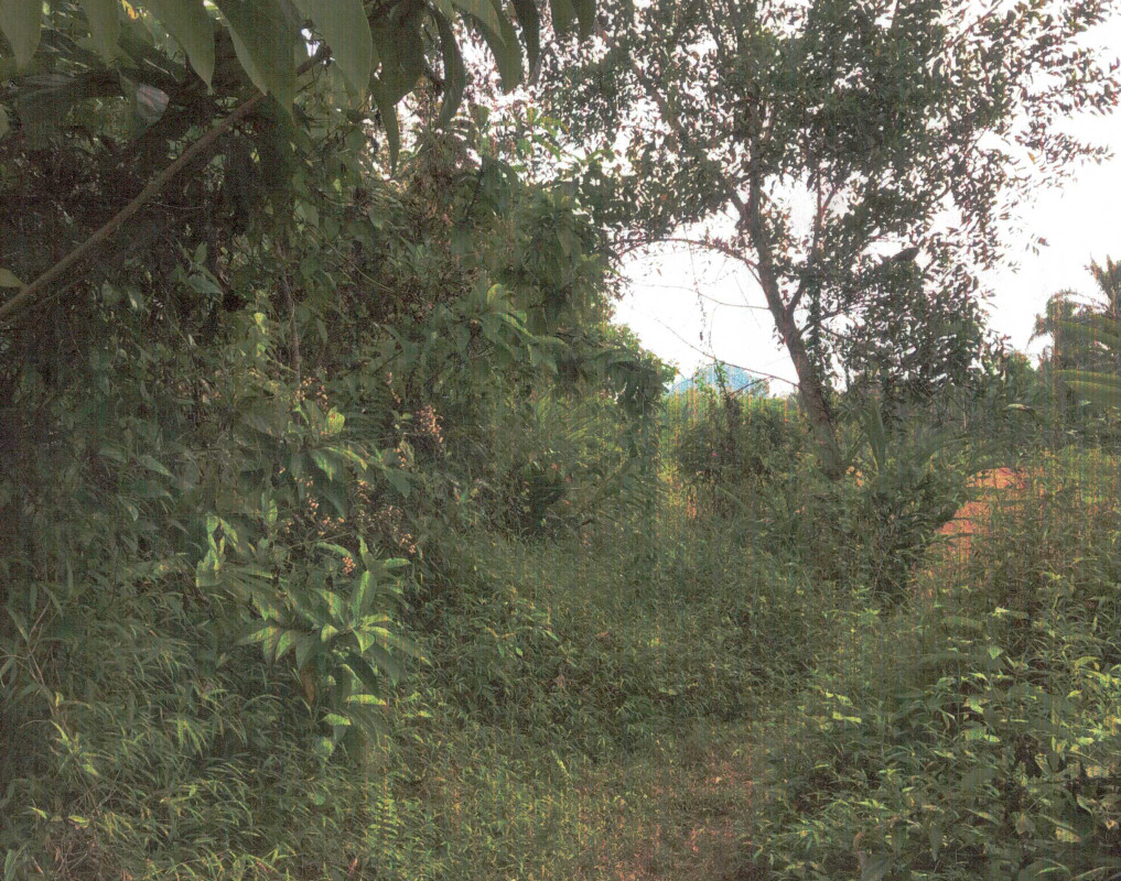 ที่ดินเปล่า นครศรีธรรมราช จุฬาภรณ์ ทุ่งโพธิ์ 811463