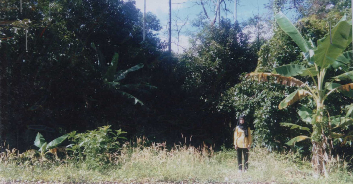 ที่ดินเปล่า ปัตตานี ยะรัง สะดาวา 894600