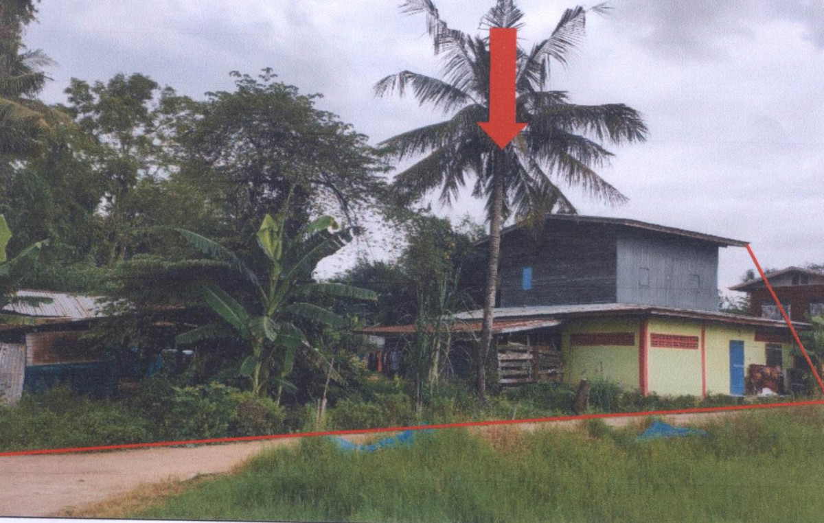 บ้านเดี่ยว พิษณุโลก พรหมพิราม ศรีภิรมย์ 612920