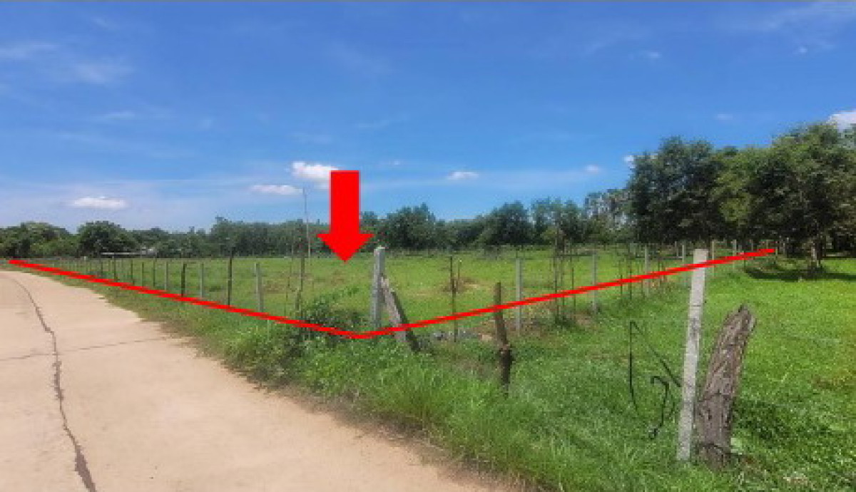 ที่ดินเปล่า กาฬสินธุ์ เมืองกาฬสินธุ์ ไผ่ 1080000