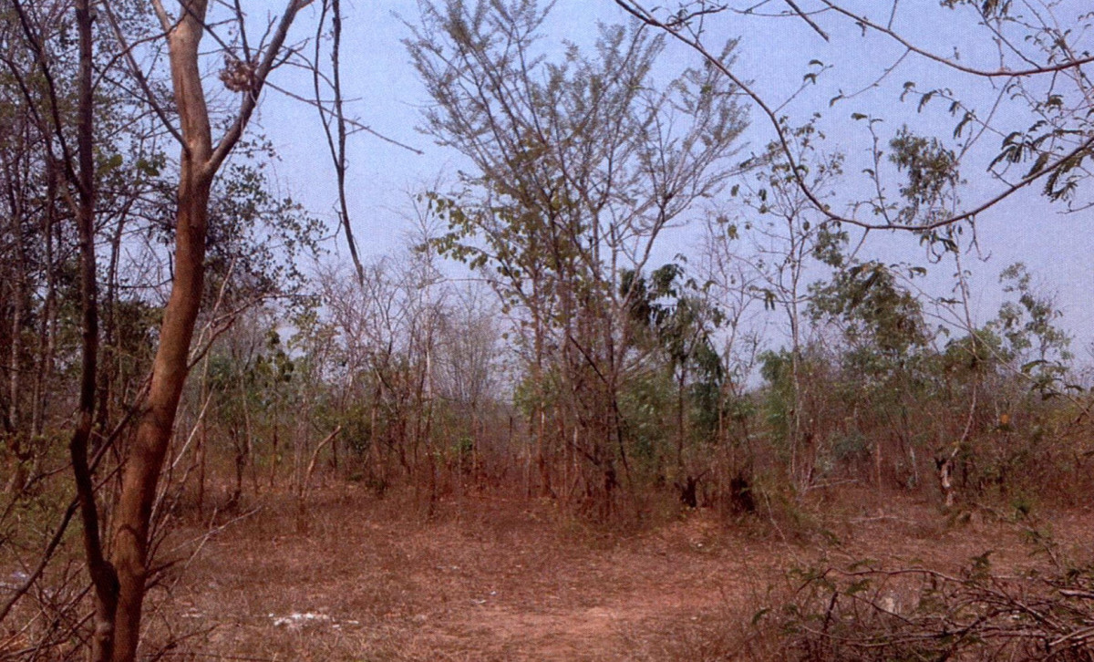 ที่ดินเปล่า ลำปาง เกาะคา ไหล่หิน 372000