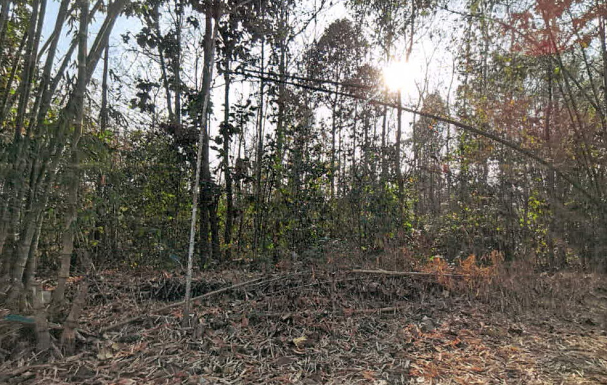 ที่ดินเปล่า ลำปาง เมืองปาน เมืองปาน 124600