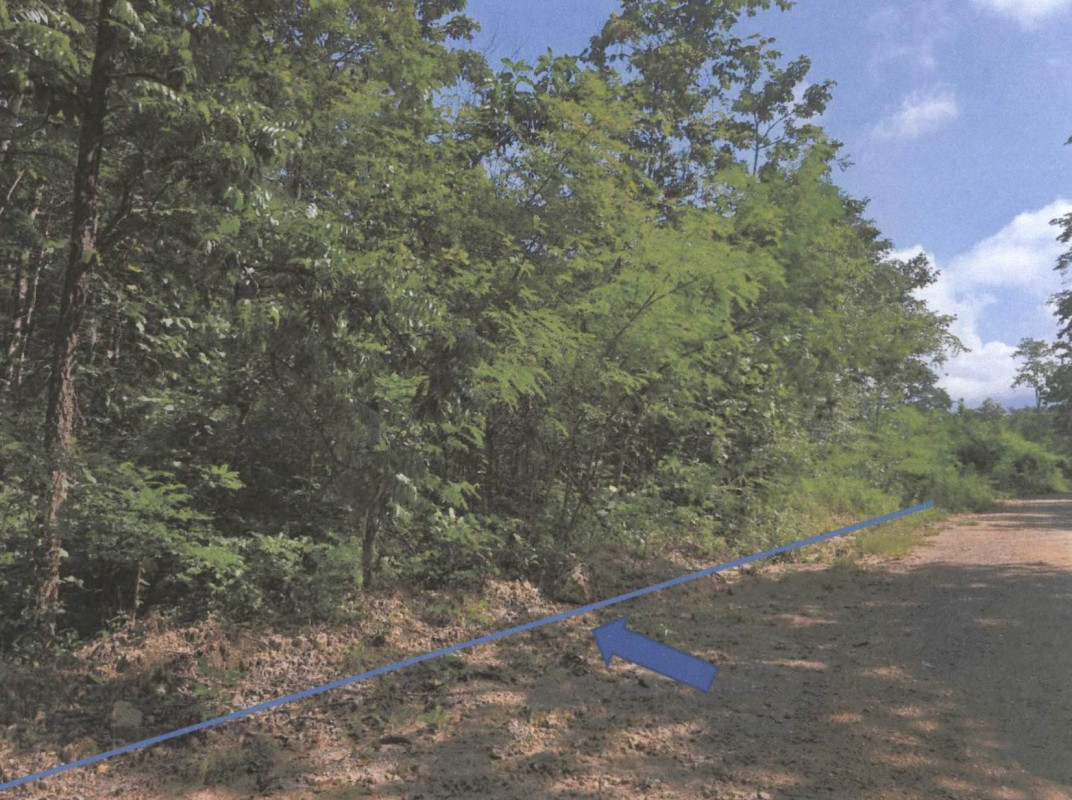 ที่ดินเปล่า เชียงใหม่ ดอยเต่า บงตัน 1090720