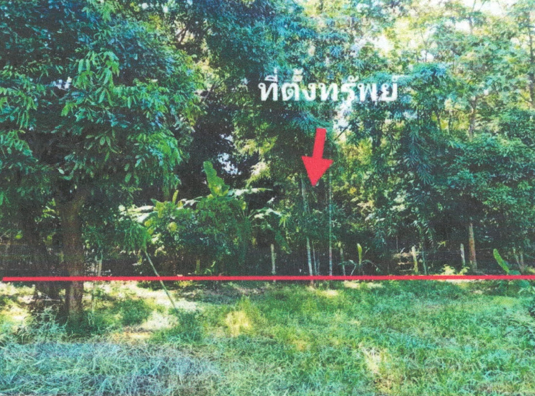 ที่ดินเปล่า ลำปาง เกาะคา ท่าผา 165900