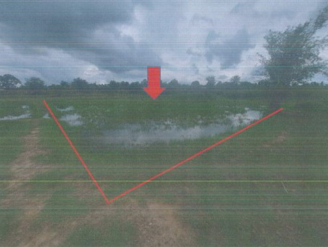 ที่ดินเปล่า กาฬสินธุ์ ยางตลาด ยางตลาด 240000