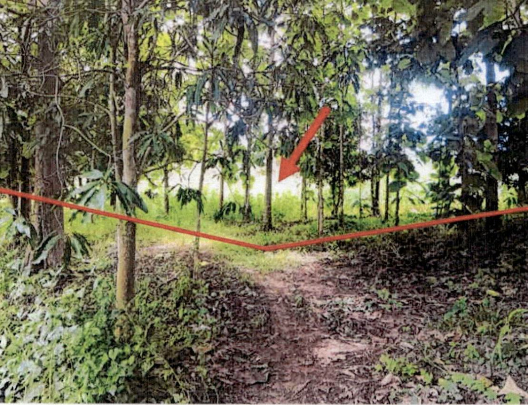 Residential land/lot Lampang Wang Nuea Wang Tai 115600