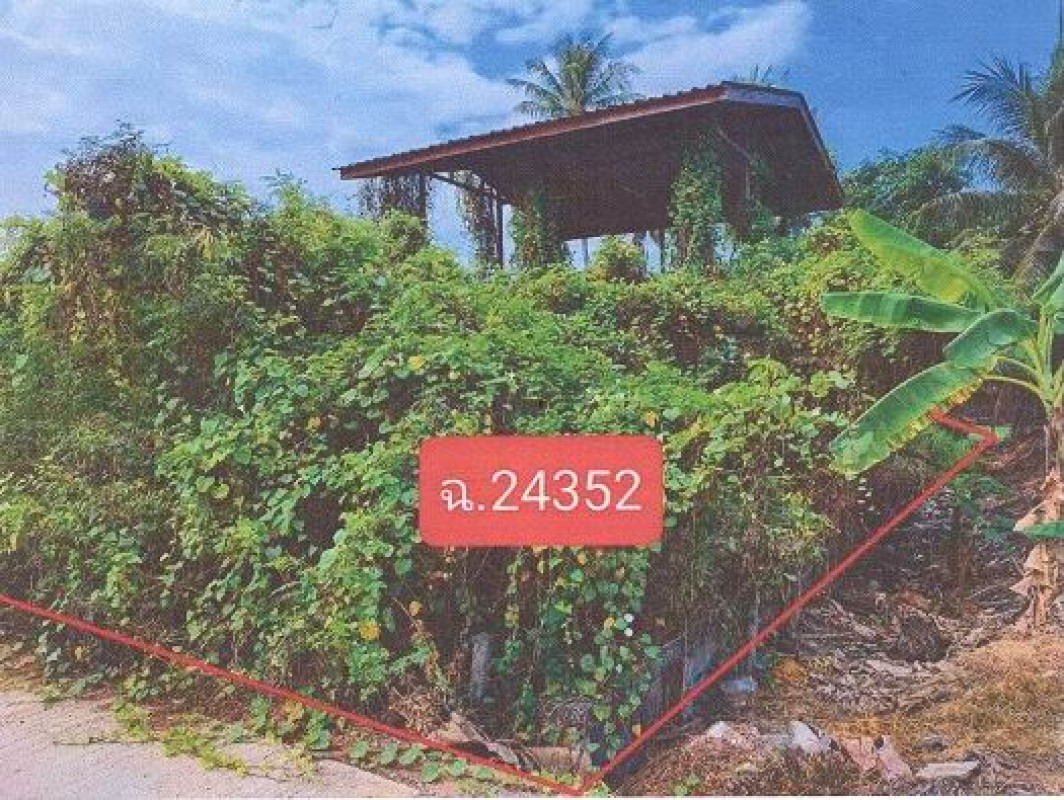 ที่ดินเปล่า ราชบุรี ดำเนินสะดวก ดอนกรวย 150000