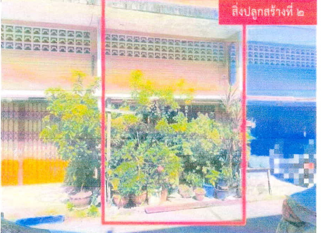 ทาวน์เฮ้าส์ ปัตตานี เมืองปัตตานี บานา 406700