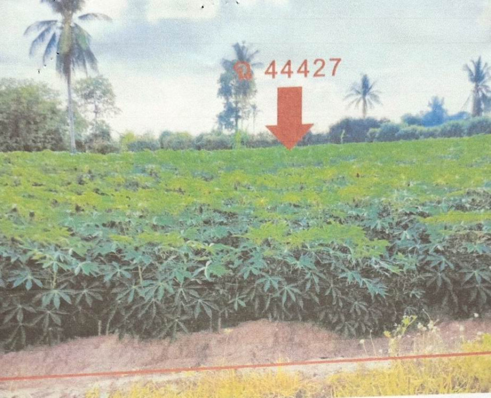 Residential land/lot Phitsanulok Wang Thong Chai Nam 125970