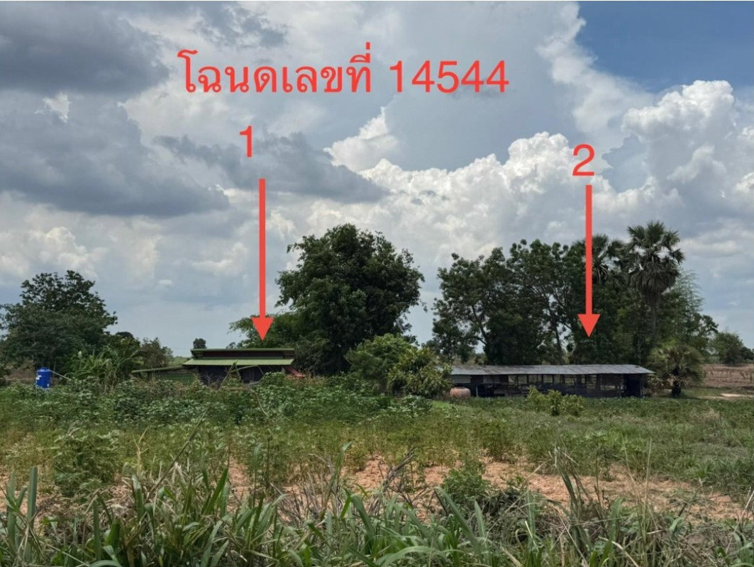 บ้านเดี่ยว ขอนแก่น พระยืน หนองแวง 2202000