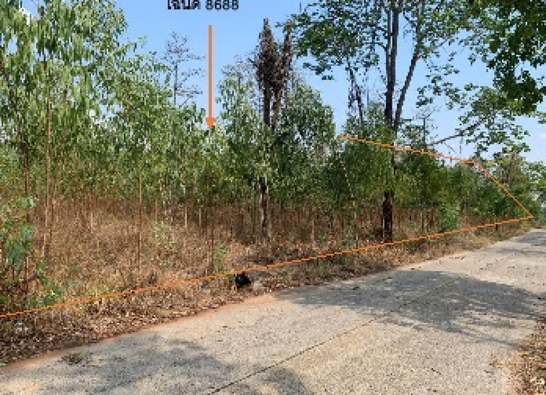 ที่ดินเปล่า ขอนแก่น พระยืน พระยืน 693496