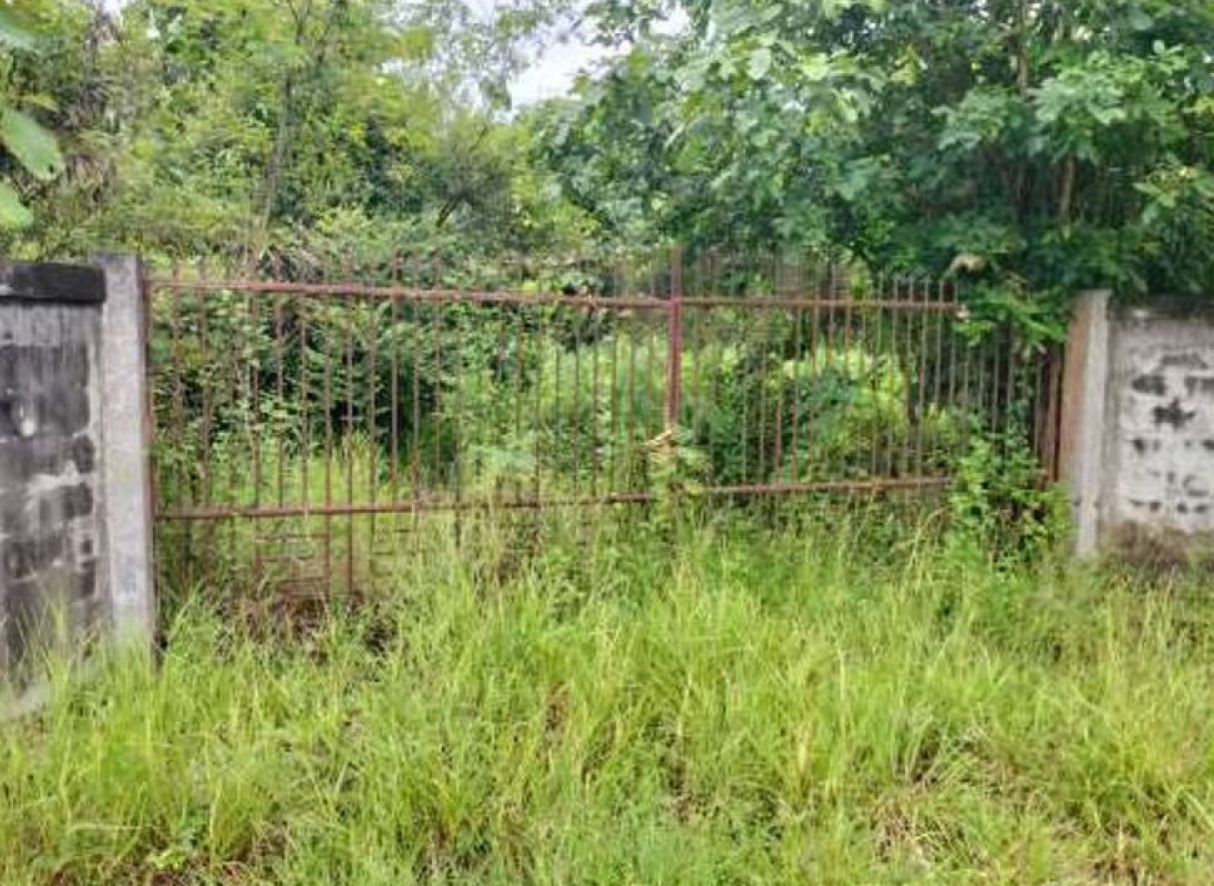 ที่ดินเปล่า ขอนแก่น น้ำพอง หนองกุง 1101200