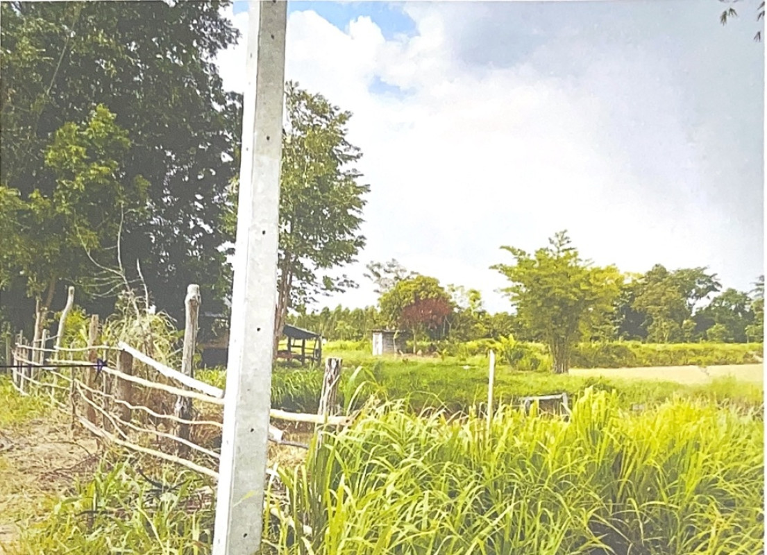 ที่ดินเปล่า ขอนแก่น อุบลรัตน์ บ้านดง 781800