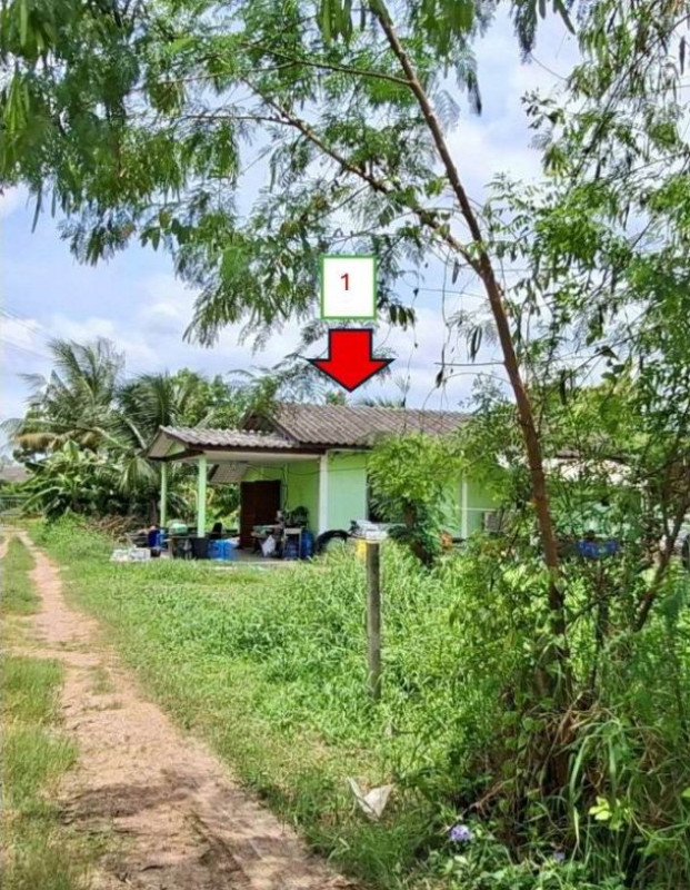 บ้านเดี่ยว นครปฐม เมืองนครปฐม สระกะเทียม 2900355