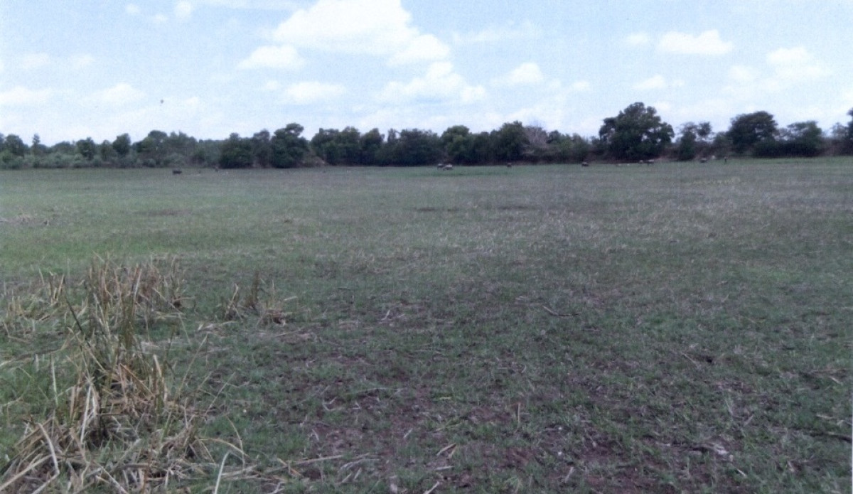 ที่ดินเปล่า หนองคาย เมืองหนองคาย โพนสว่าง 3066000