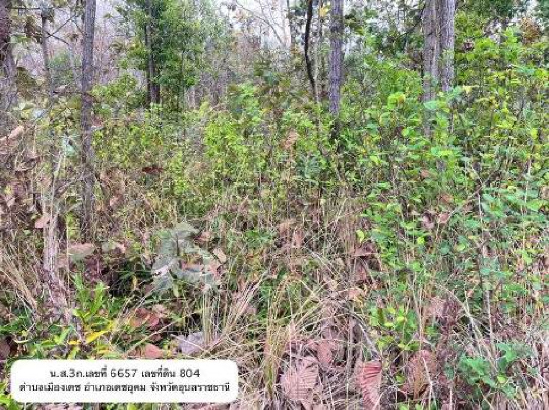 ที่ดินเปล่า อุบลราชธานี เดชอุดม เมืองเดช 25000