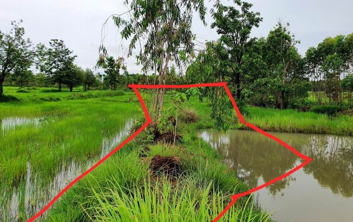 ที่ดินเปล่า สกลนคร พรรณานิคม บะฮี 107700