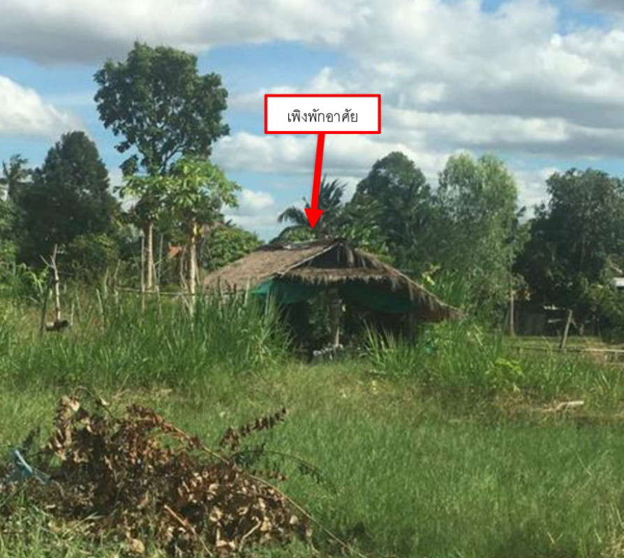 บ้านเดี่ยว ศรีสะเกษ ศรีรัตนะ สะพุง 22056