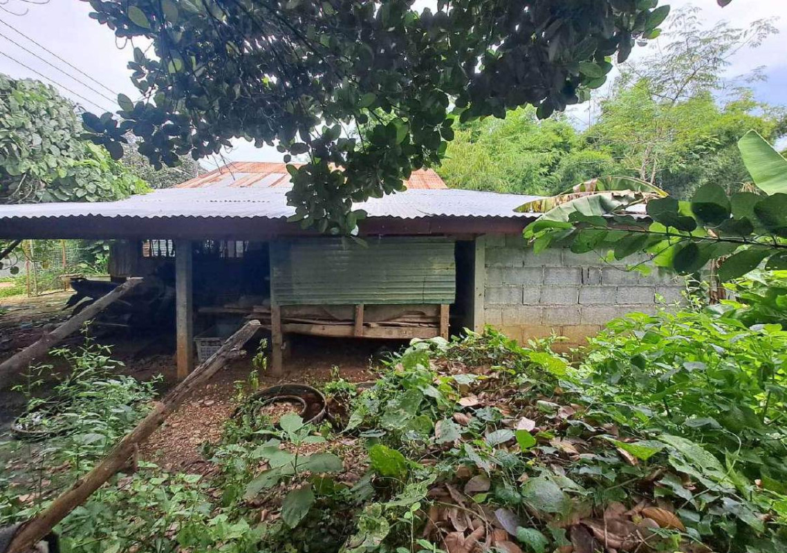 บ้านเดี่ยว เพชรบูรณ์ วิเชียรบุรี บ่อรัง 349225