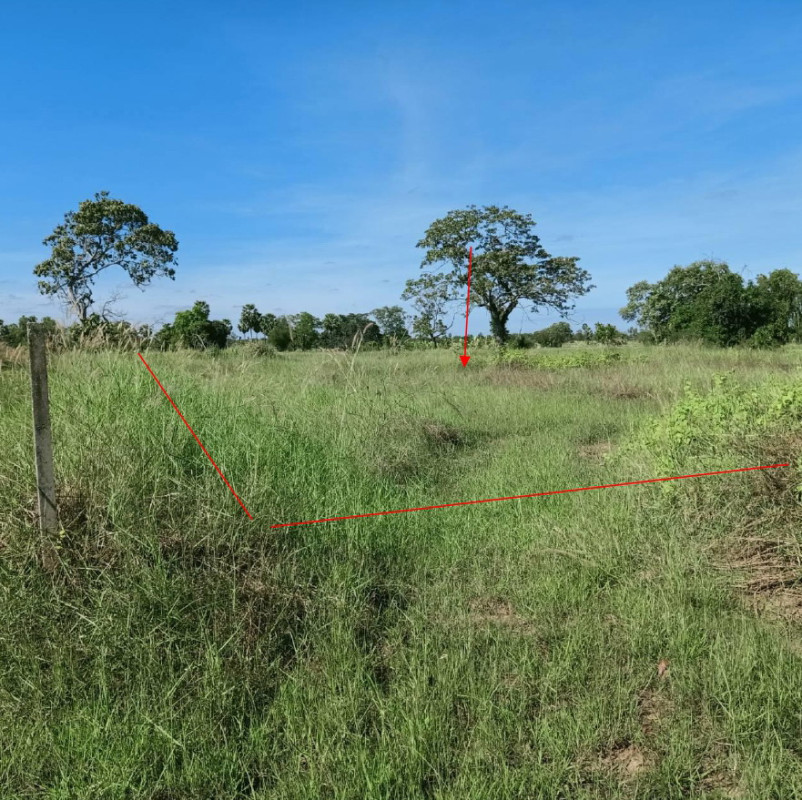 ที่ดินเปล่า นครราชสีมา คง ดอนใหญ่ 128000