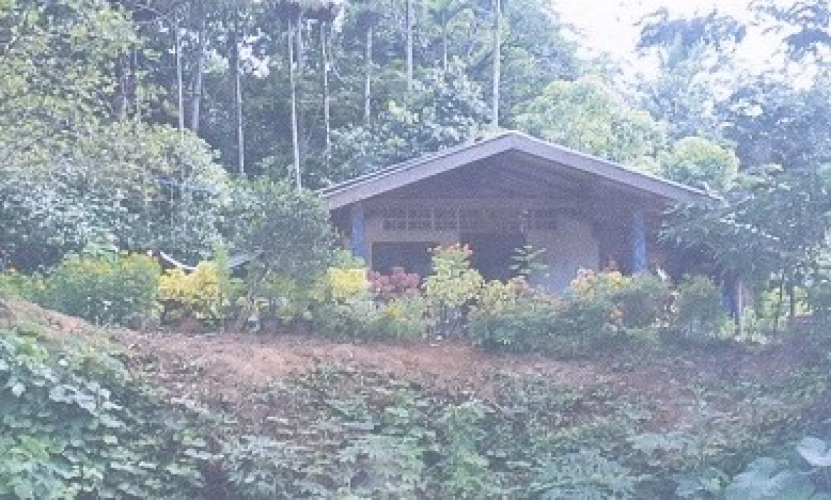 บ้านเดี่ยว นครศรีธรรมราช บางขัน บ้านลำนาว 483120