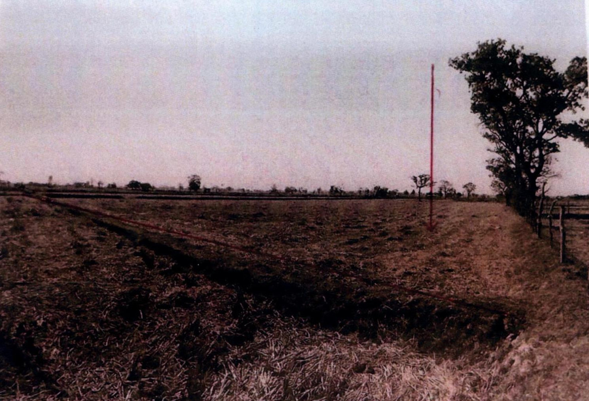 ที่ดินเปล่า สุรินทร์ รัตนบุรี ไผ่ 209300