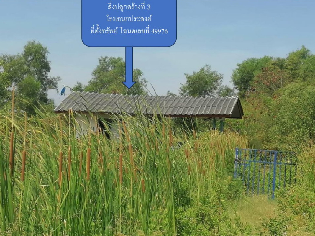 บ้านเดี่ยว ฉะเชิงเทรา เมืองฉะเชิงเทรา บางพระ 2316800