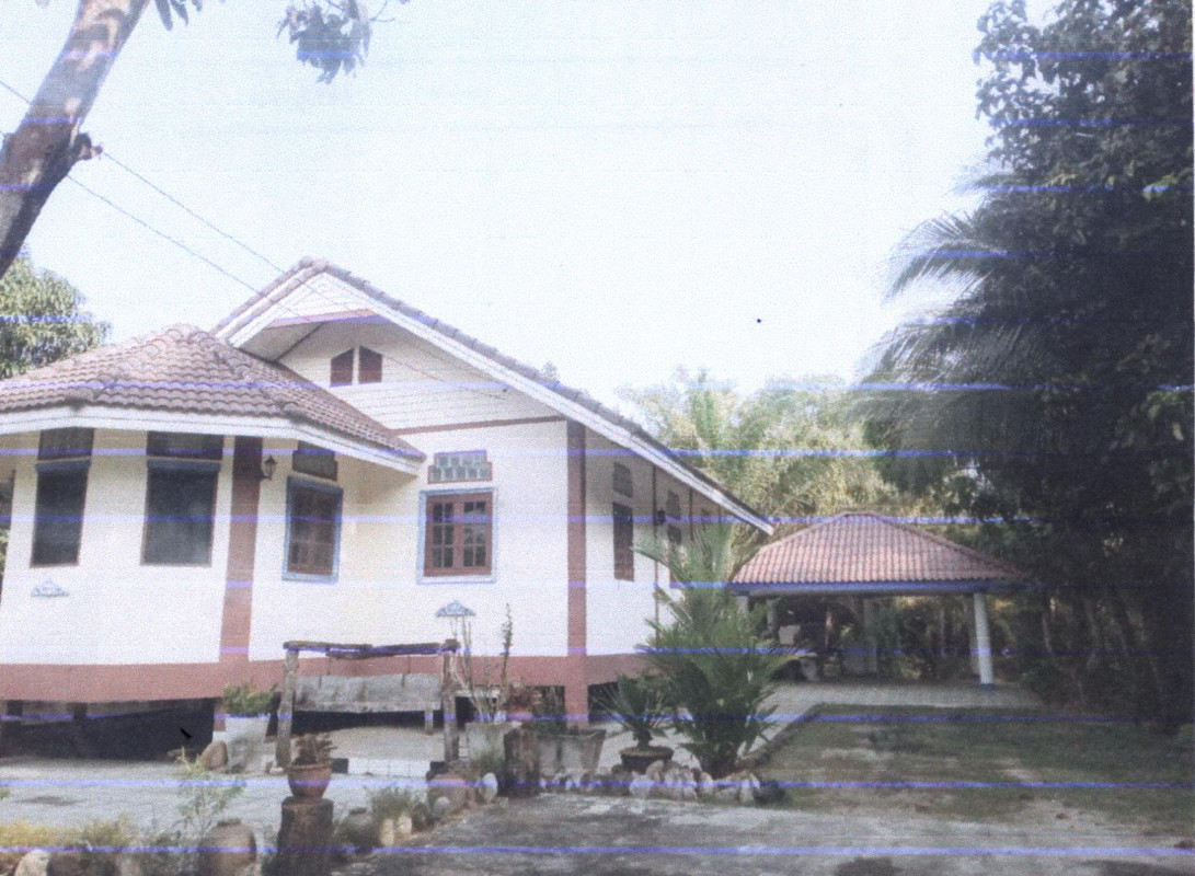 บ้านเดี่ยว สุราษฎร์ธานี ไชยา เลม็ด 1047915