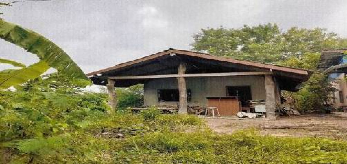 บ้านเดี่ยว อุบลราชธานี น้ำยืน โดมประดิษฐ์ 667896