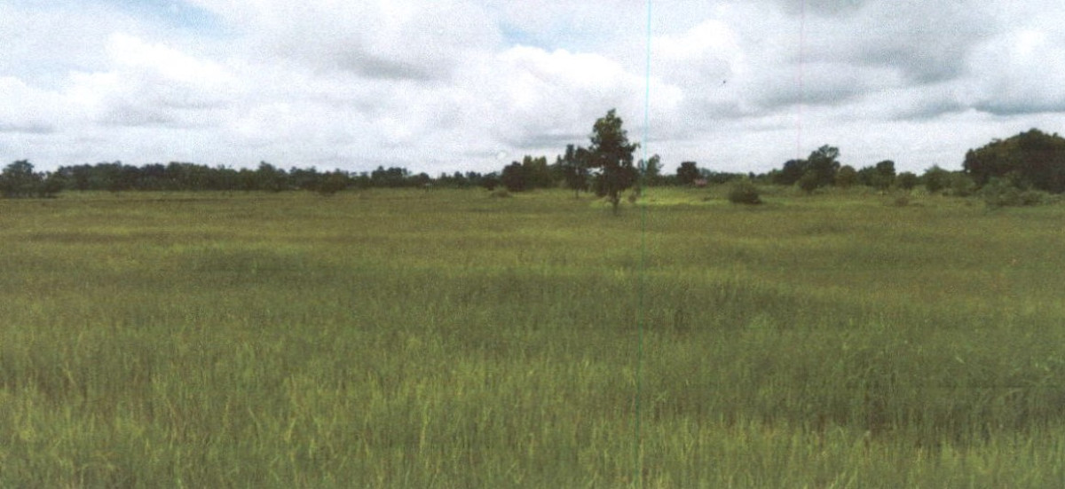 ที่ดินเปล่า กาฬสินธุ์ เขาวง หนองผือ 4127500