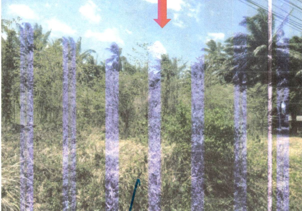 ที่ดินเปล่า กระบี่ ลำทับ ลำทับ 3911600