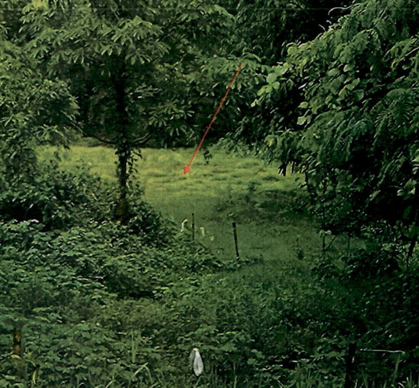 ที่ดินเปล่า ลำปาง ห้างฉัตร วอแก้ว 225000