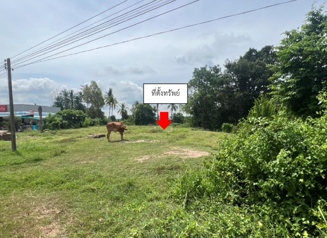 ที่ดินเปล่า สุรินทร์ รัตนบุรี เบิด 122760