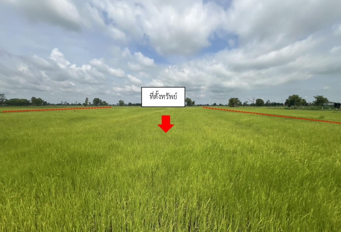 ที่ดินเปล่า สุรินทร์ รัตนบุรี ยางสว่าง 207500