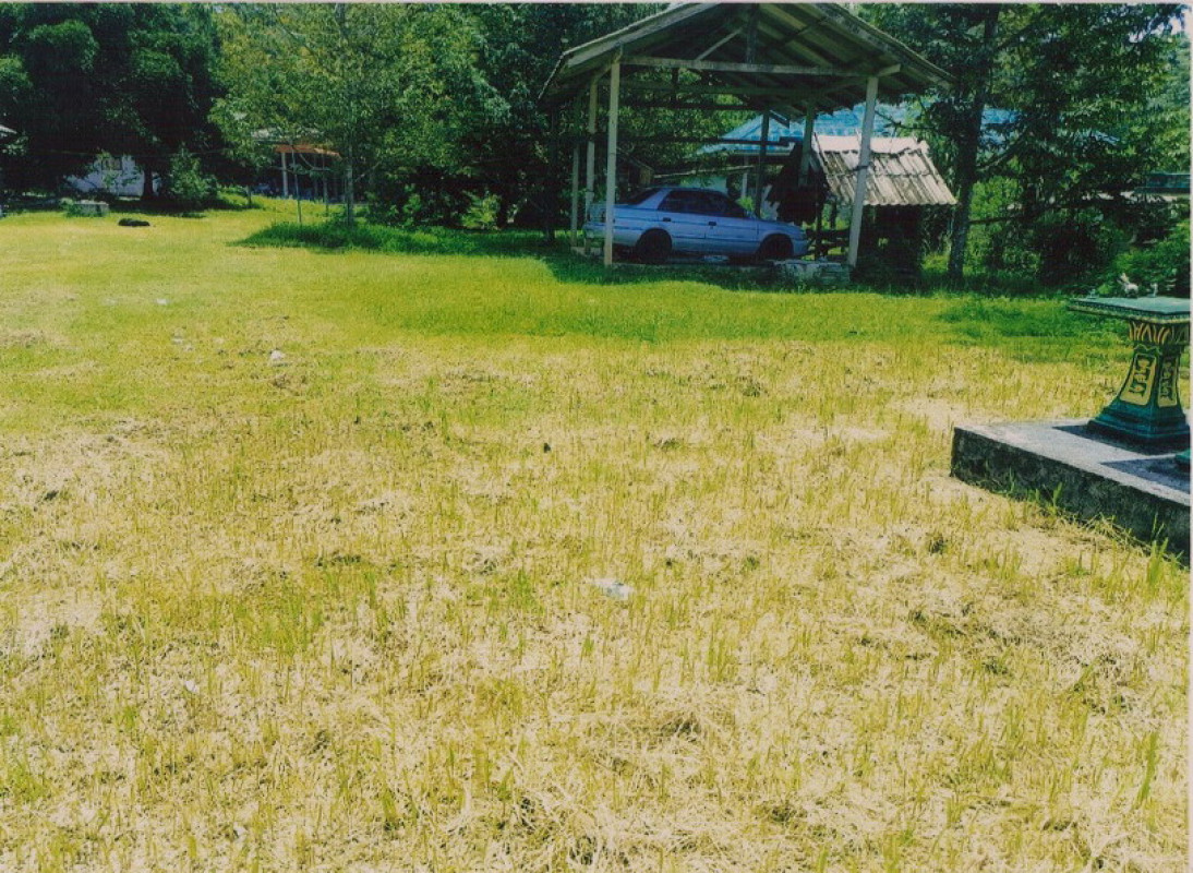 บ้านเดี่ยว นครศรีธรรมราช ทุ่งสง นาหลวงเสน 54900