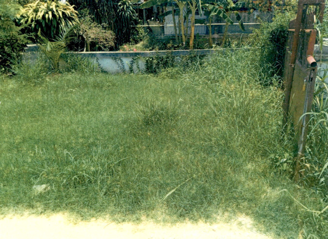 ที่ดินเปล่า กาฬสินธุ์ เมืองกาฬสินธุ์ กาฬสินธุ์ 17500