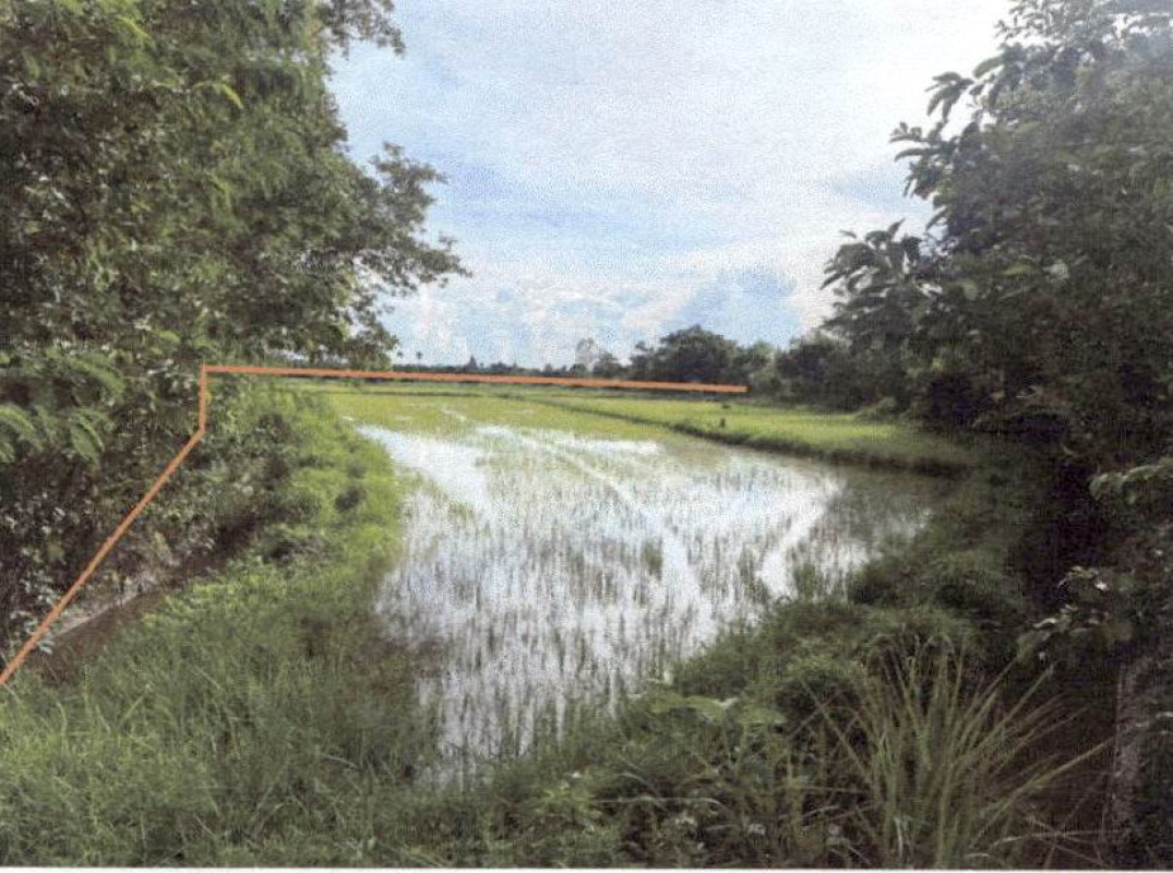 ที่ดินเปล่า ลำปาง ห้างฉัตร หนองหล่ม 839250