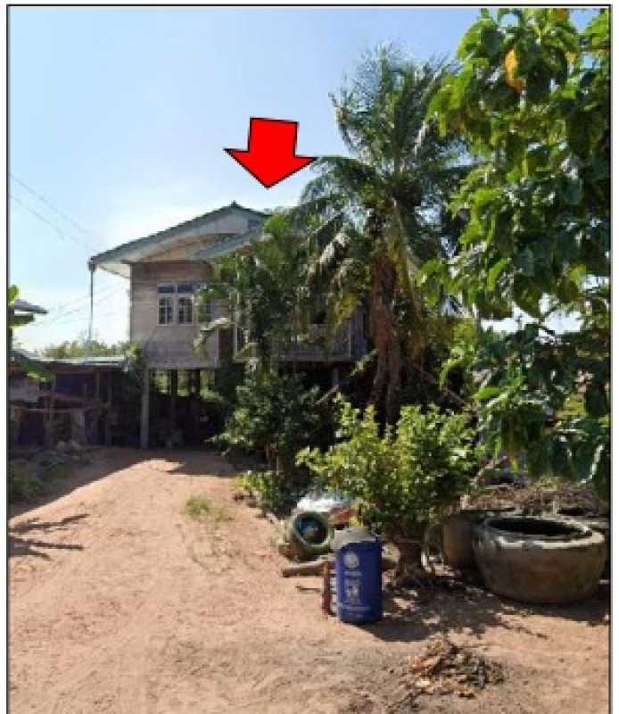 บ้านเดี่ยว ขอนแก่น บ้านไผ่ ป่าปอ 226400