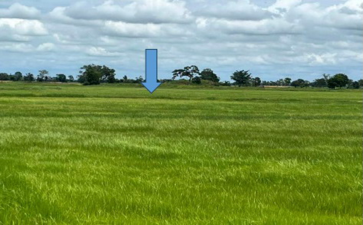 ที่ดินเปล่า นครราชสีมา ประทาย ดอนมัน 223740