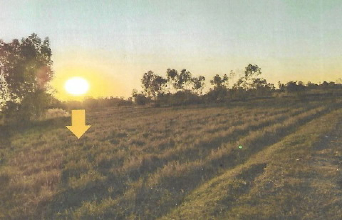 Residential land/lot Kalasin Kamalasai Khok Sombun 956000