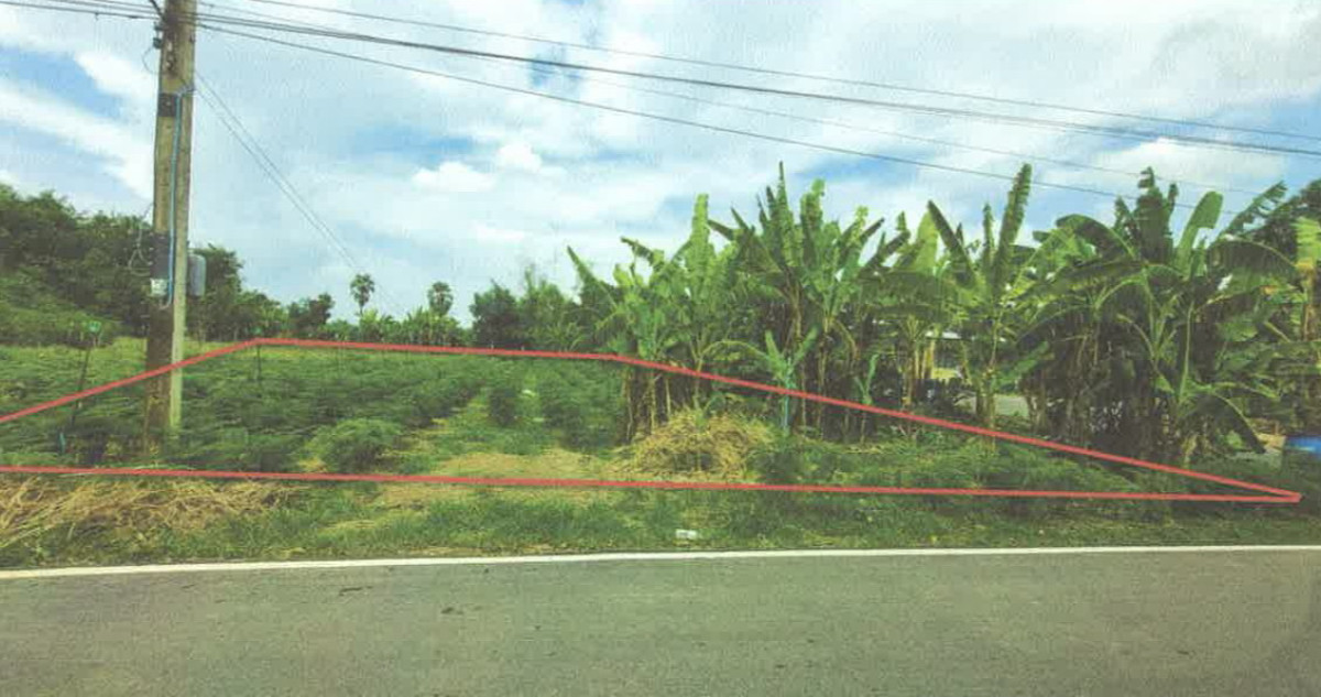 Residential land/lot Nakhon Nayok Pak Phli Pak Phli 151910